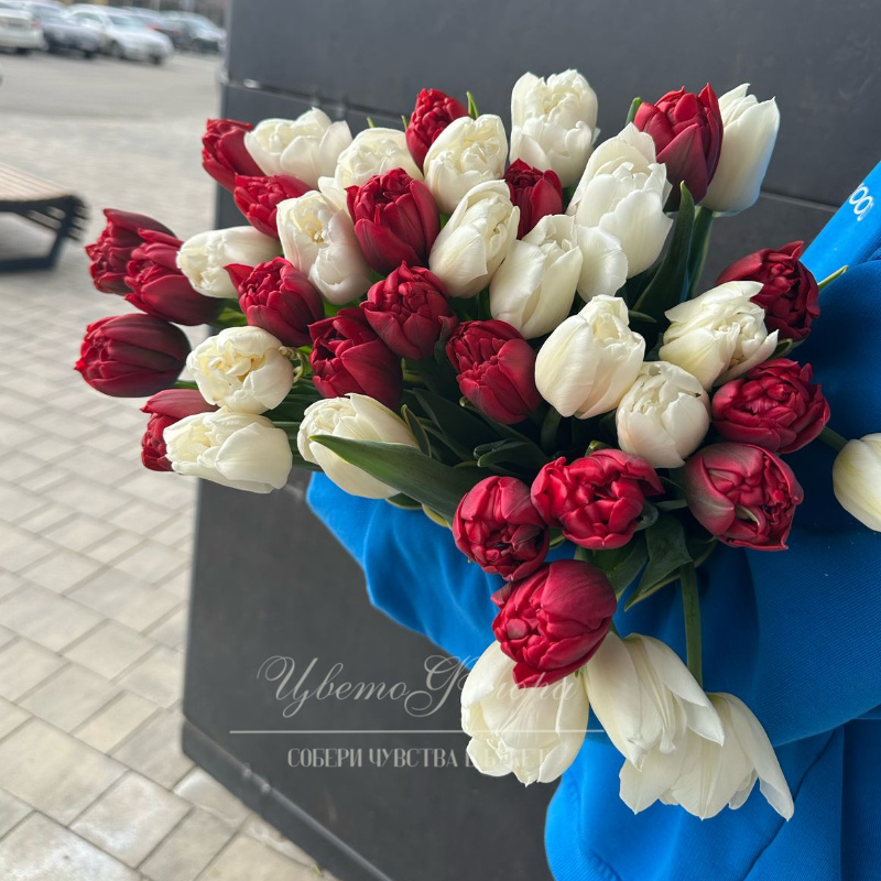 Цветочное Танго  (штучные тюльпаны)