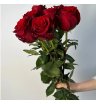Роза эксплорер 80см - 9шт 4