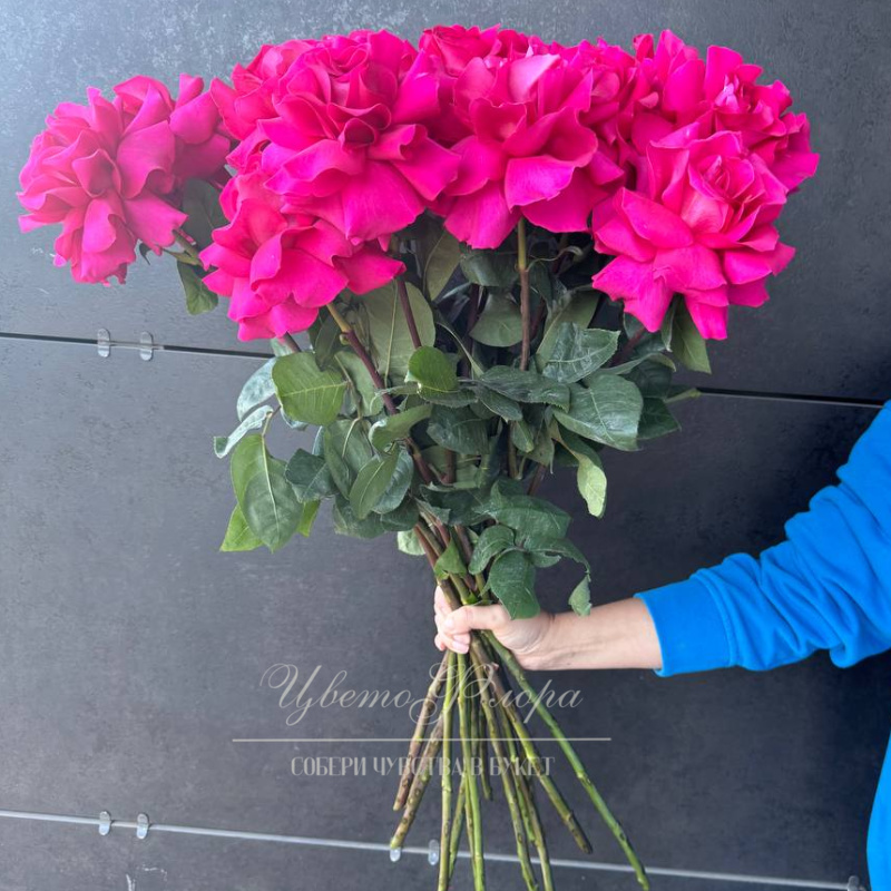 Роза Пинк Флойд 15 шт