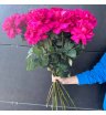 Роза Пинк Флойд 15 шт