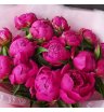 Букет с розовыми пионами 15шт  1