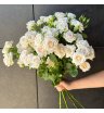 Кустовая роза 7 шт