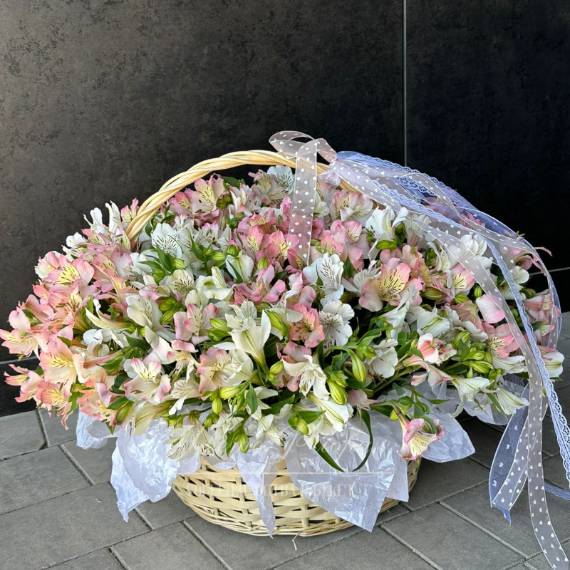 «Солнечная Корзина»