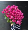 Кустовая, пионовидная роза 