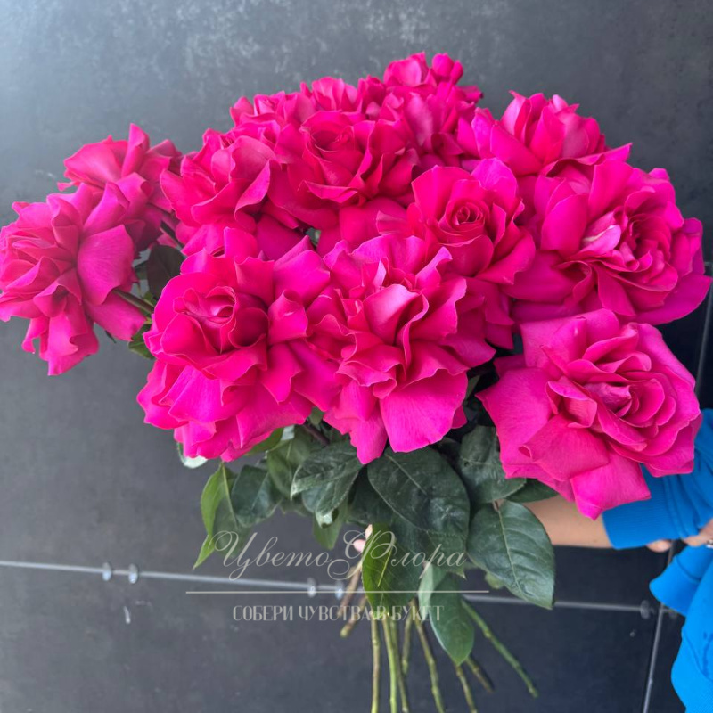 Пинк Флойд роза 