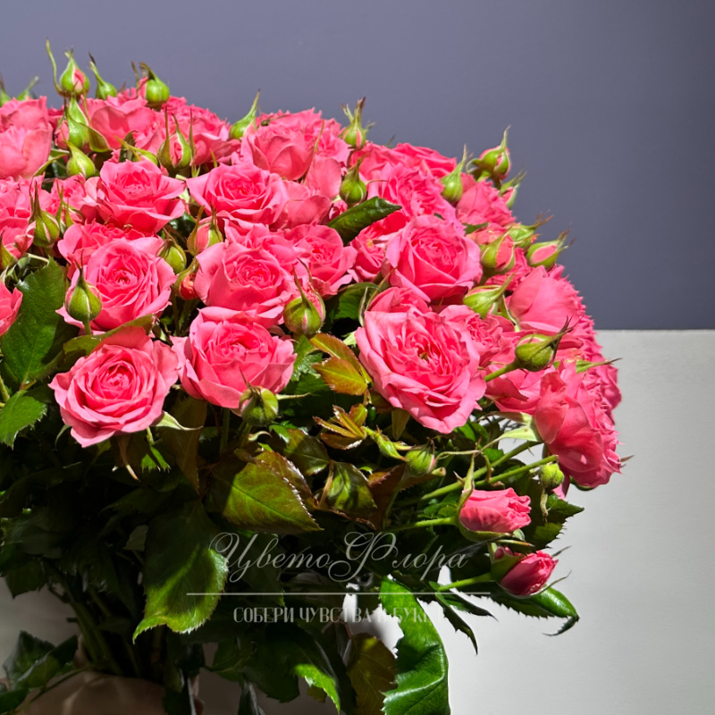 Кустовая роза 1