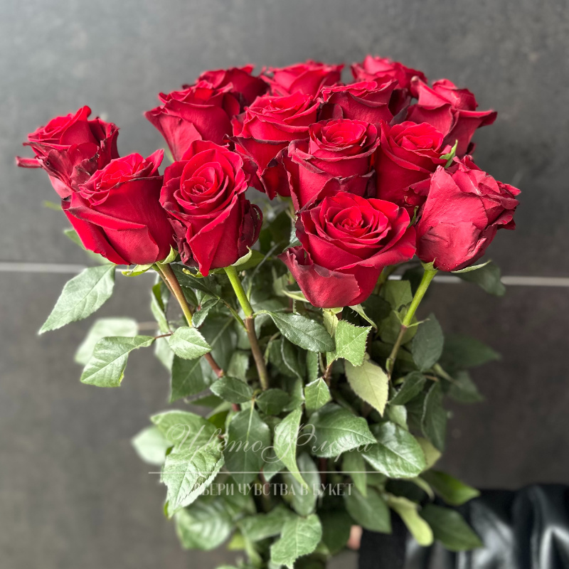 Красная роза Эксплоуэр 80см 1