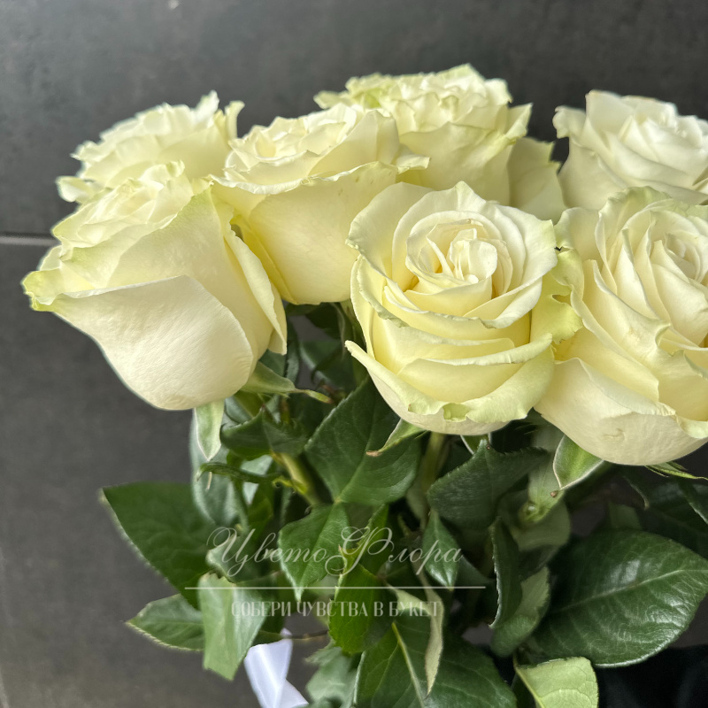 Белая роза Мондиаль 70см 1