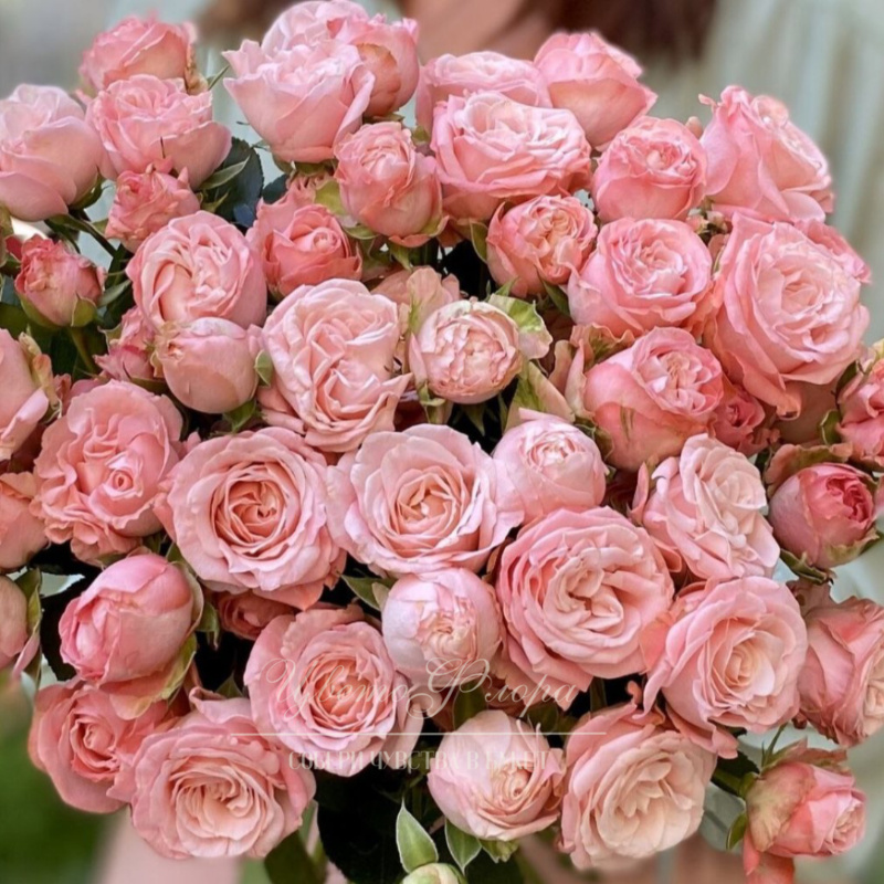 Нежная пионовидная, кустовая роза