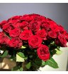 Красная роза Ред Наоми 60см