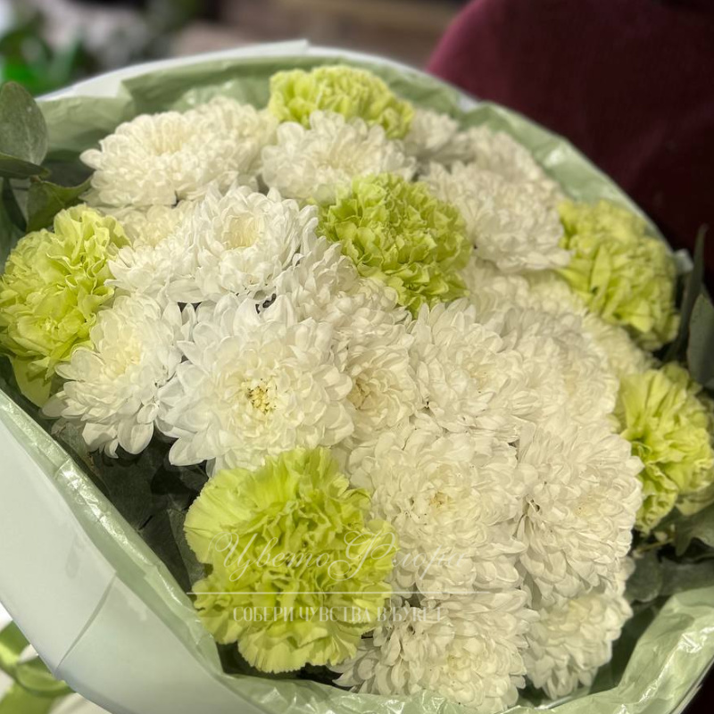 Сборный букет &laquo;Радость весны&raquo; из кустовой хризантемы и диантуса 1