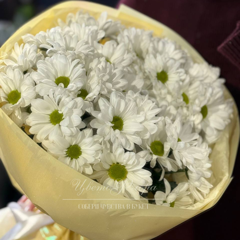 Монобукет из кустовой хризантемы 1