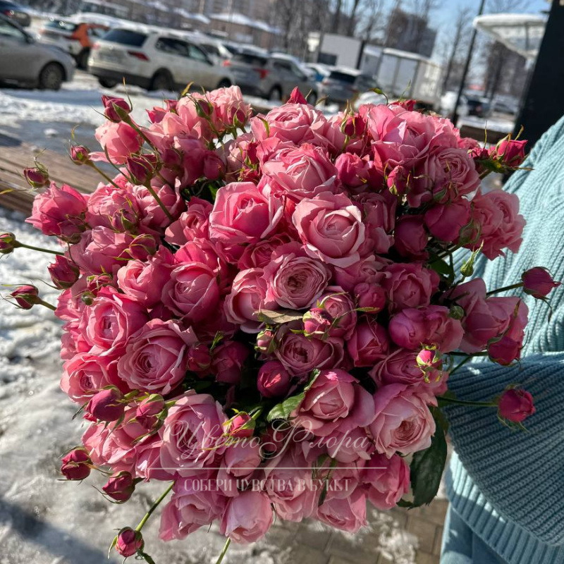 Розовые кустовые розы